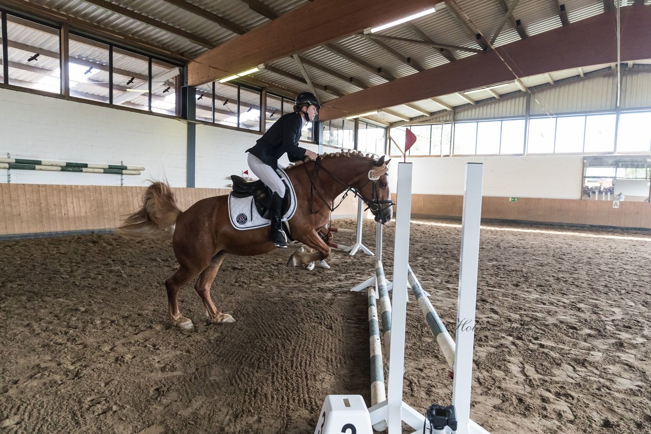 Bild 7 - Pony Akademie Turnier